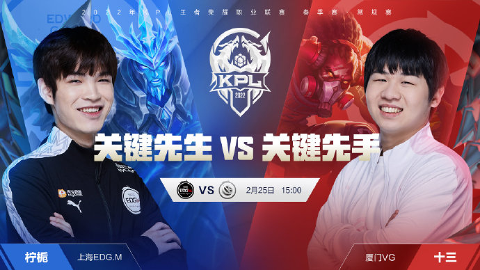 网却在阵容