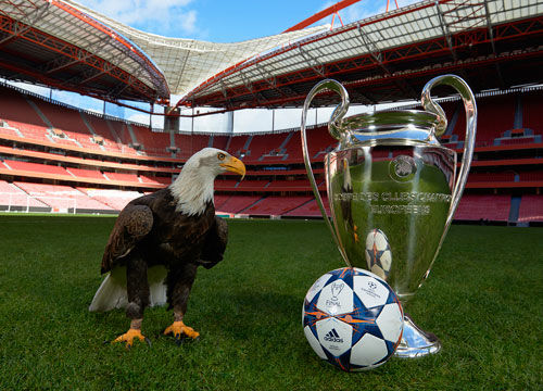 比赛节奏对 比赛节奏对