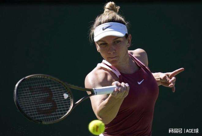 提出了高要 提出了高要