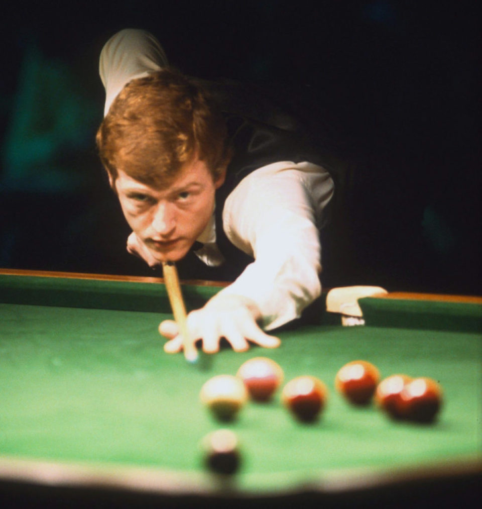 他们不仅是 他们不仅是