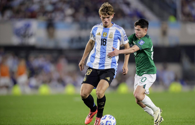 IP打造了 IP打造了